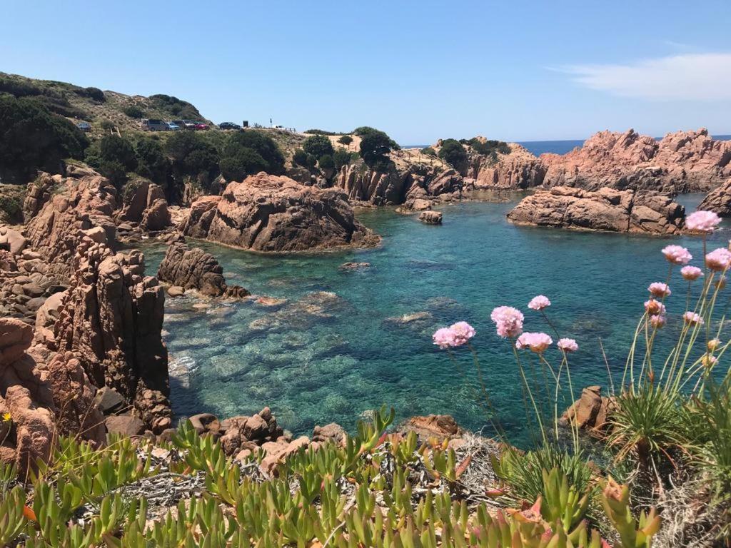 Residenze Belvedere Costa Paradiso Bagian luar foto